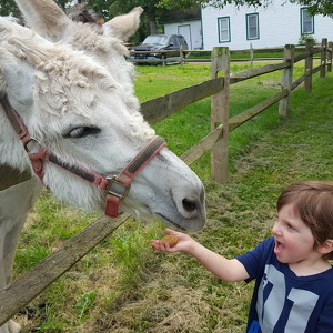 Carrie Wehling Roehrig